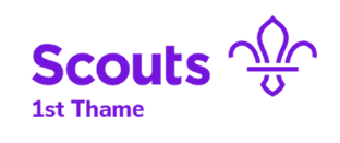 Scouts Young Peoples Activities in Thame