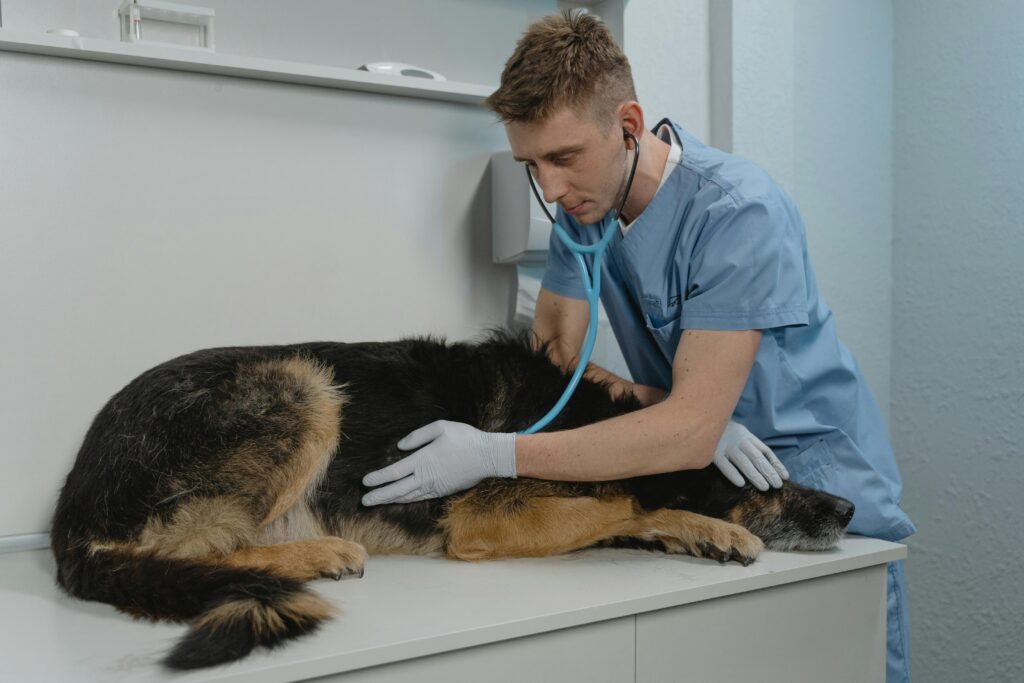 Healthcare for Thame 5 pexels tima miroshnichenko 6235233 Healthcare for Thame